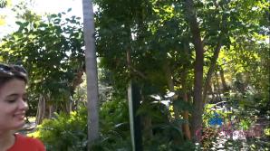 Nicole Nichols Sarasota Part 5